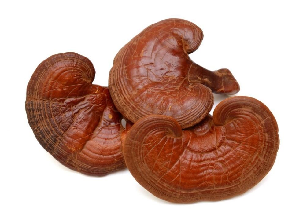 Champignons Reishi en capsules Prostamin